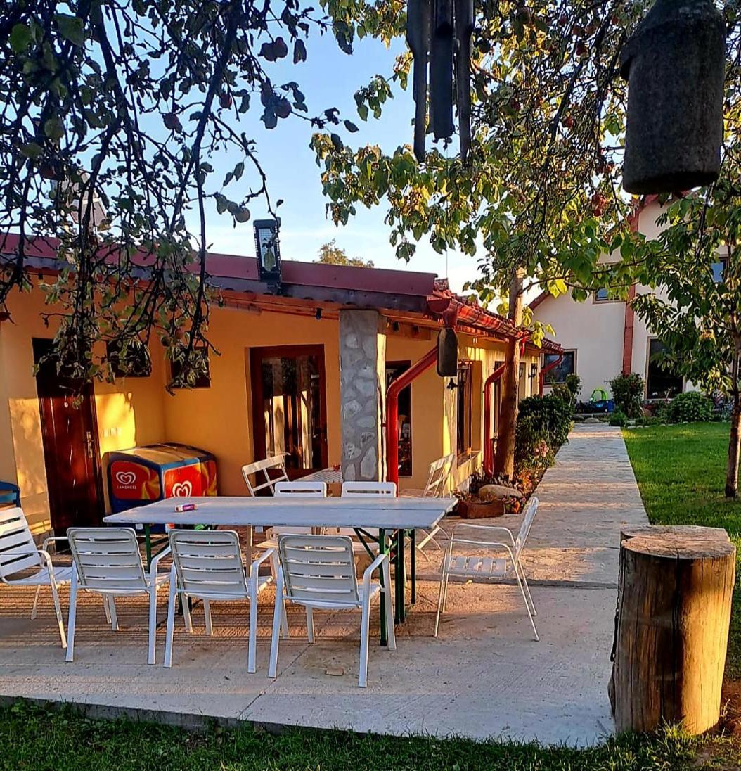 Pensiunea Casa Noastra Baia de Fier Extérieur photo