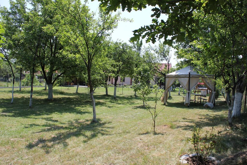 Pensiunea Casa Noastra Baia de Fier Extérieur photo