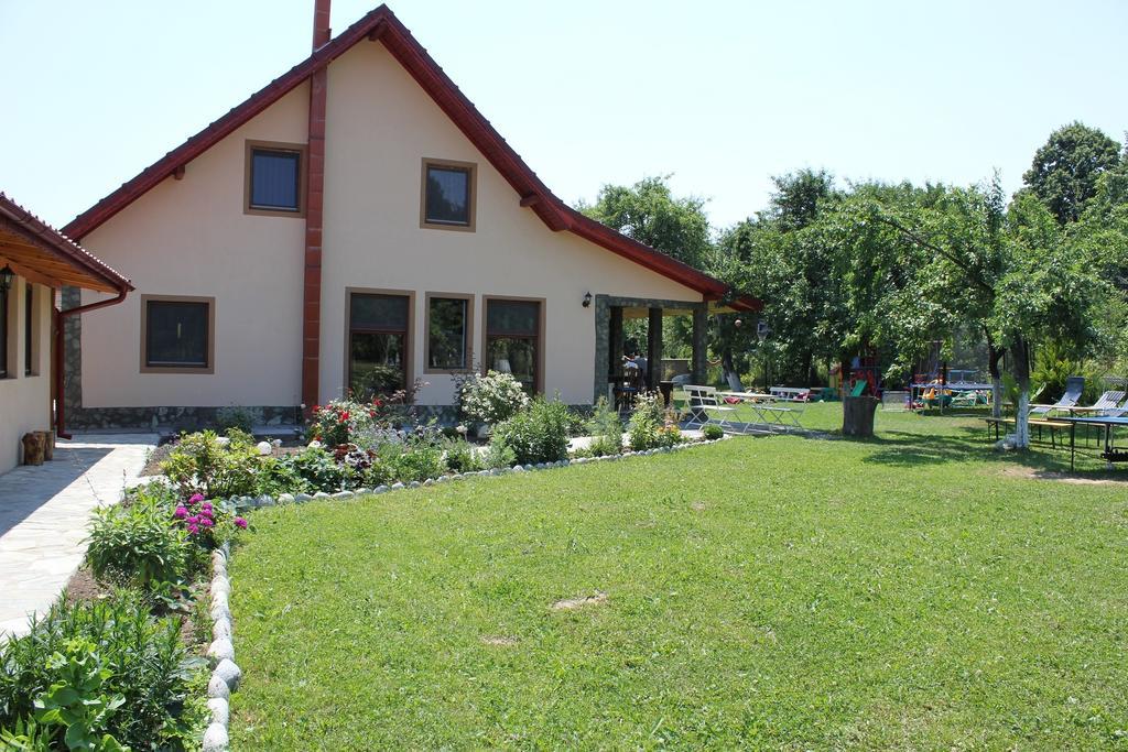 Pensiunea Casa Noastra Baia de Fier Extérieur photo