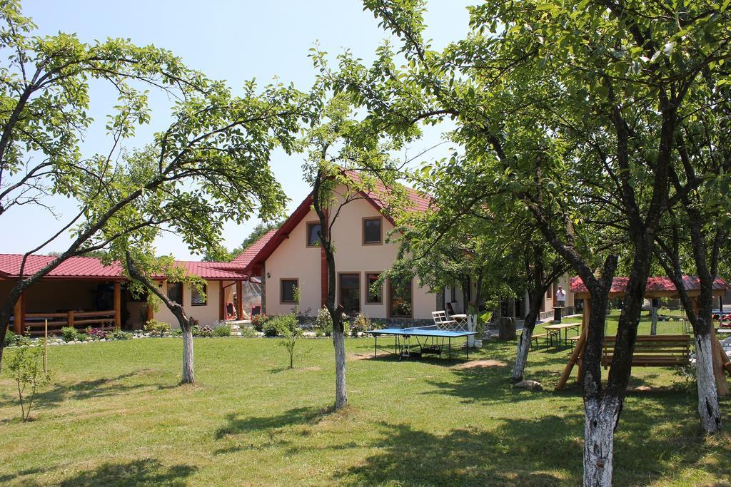 Pensiunea Casa Noastra Baia de Fier Extérieur photo